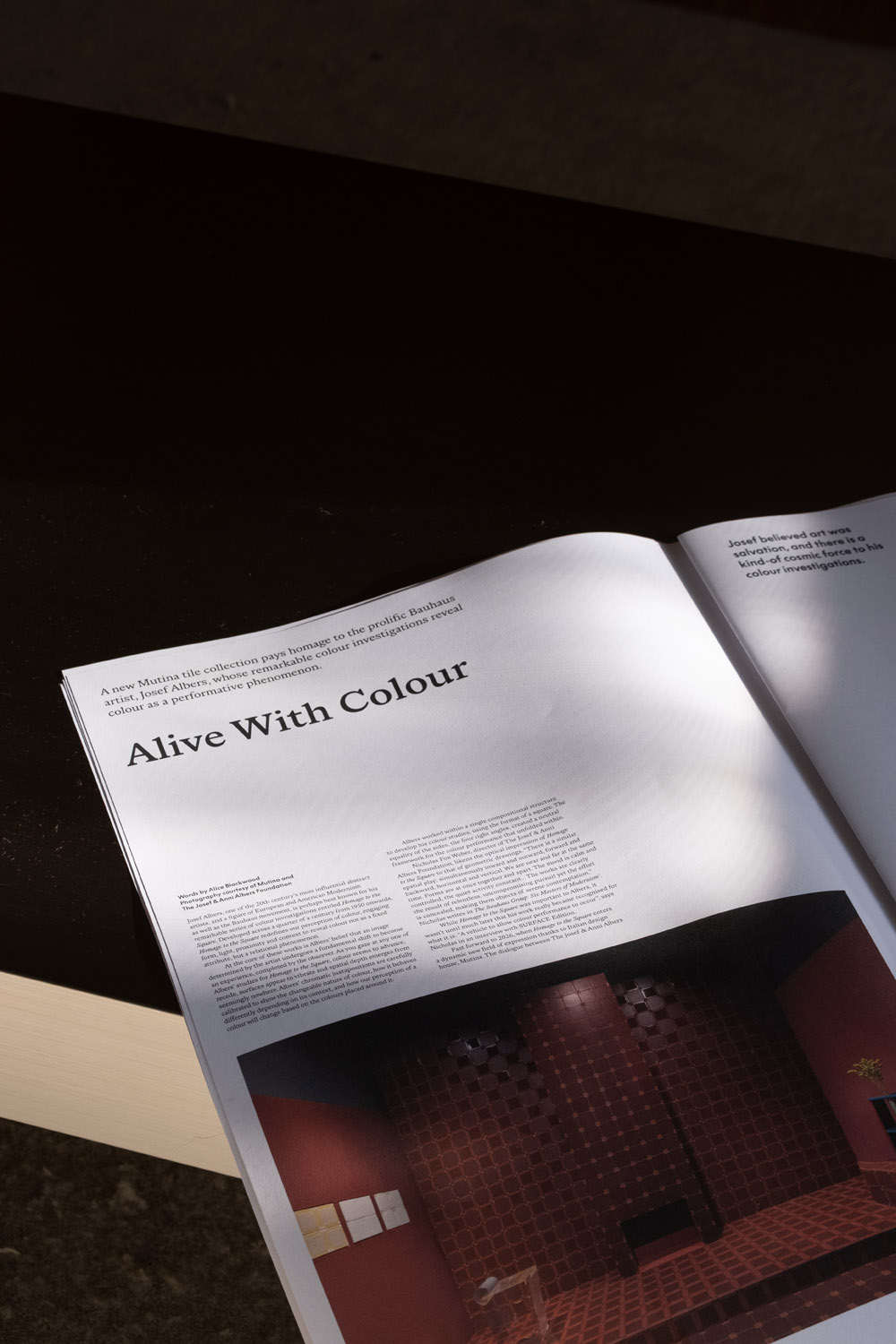 An image of a spread from SURFACE Edition magazine Volume 2, our second print issue.